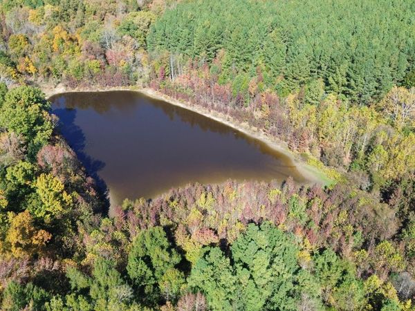 8100 Stage Coach RD, Nathalie, VA 24577