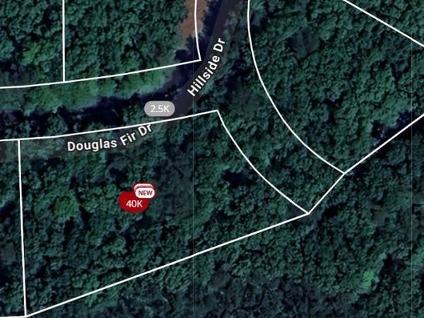 101 Douglas Fir Drive, Waleska, GA 30183