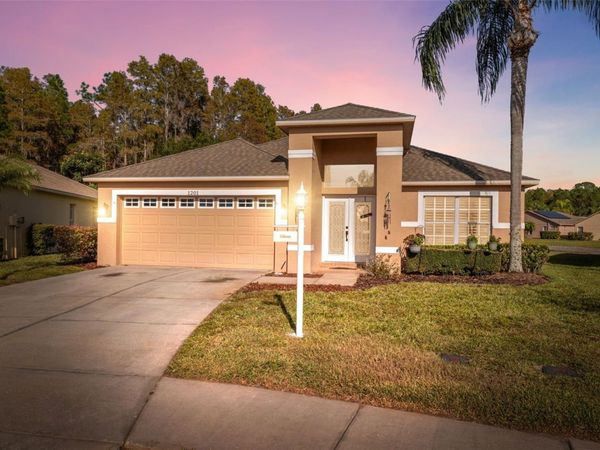 1201 DUSTAN PLACE, TRINITY, FL 34655