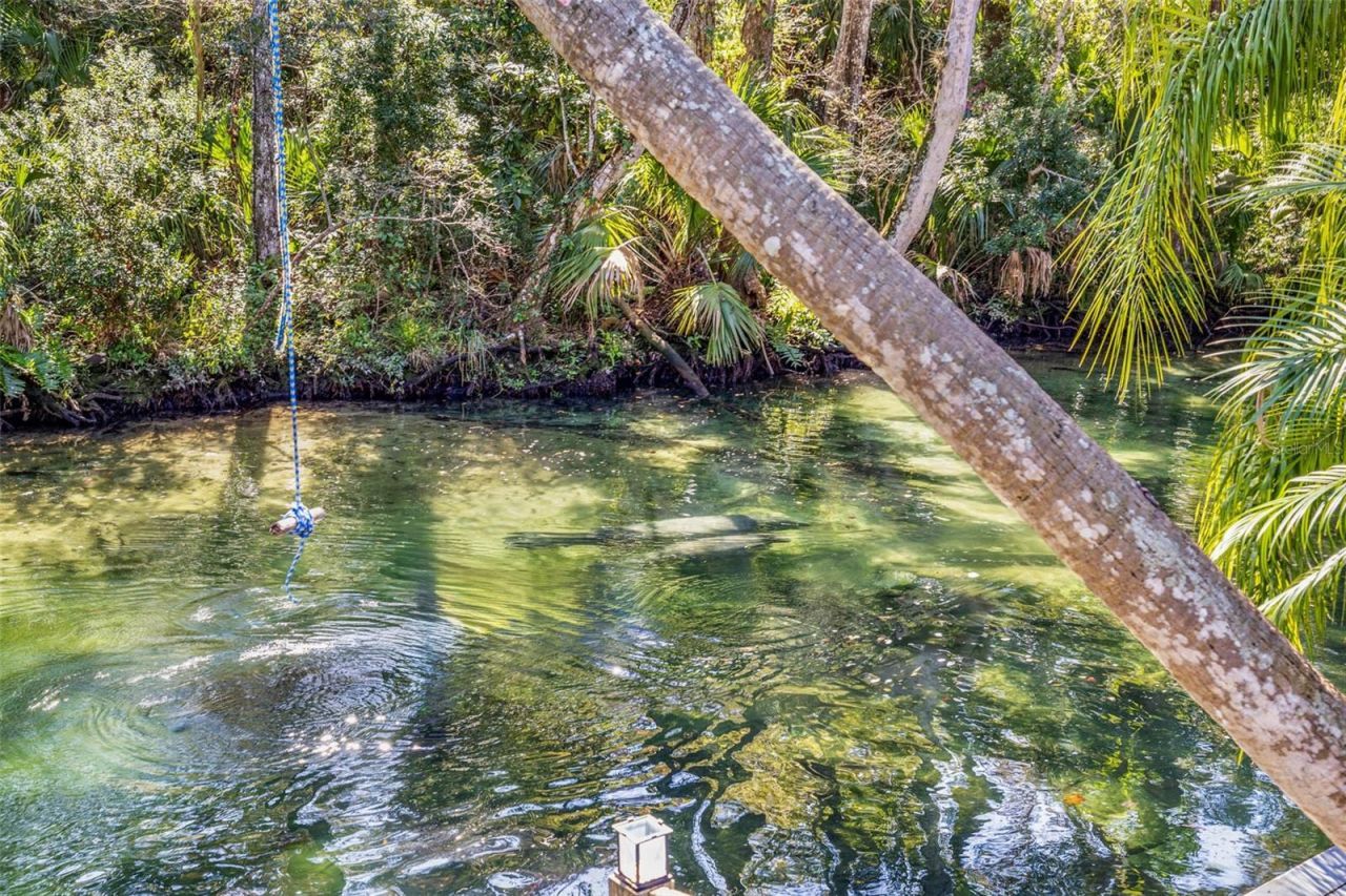 6110 Bear Trail, Weeki Wachee, FL 34607 Photo