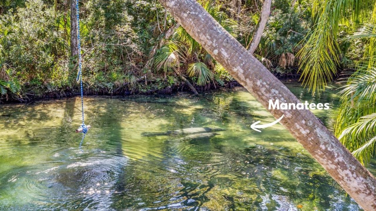 6110 Bear Trail, Weeki Wachee, FL 34607 Photo