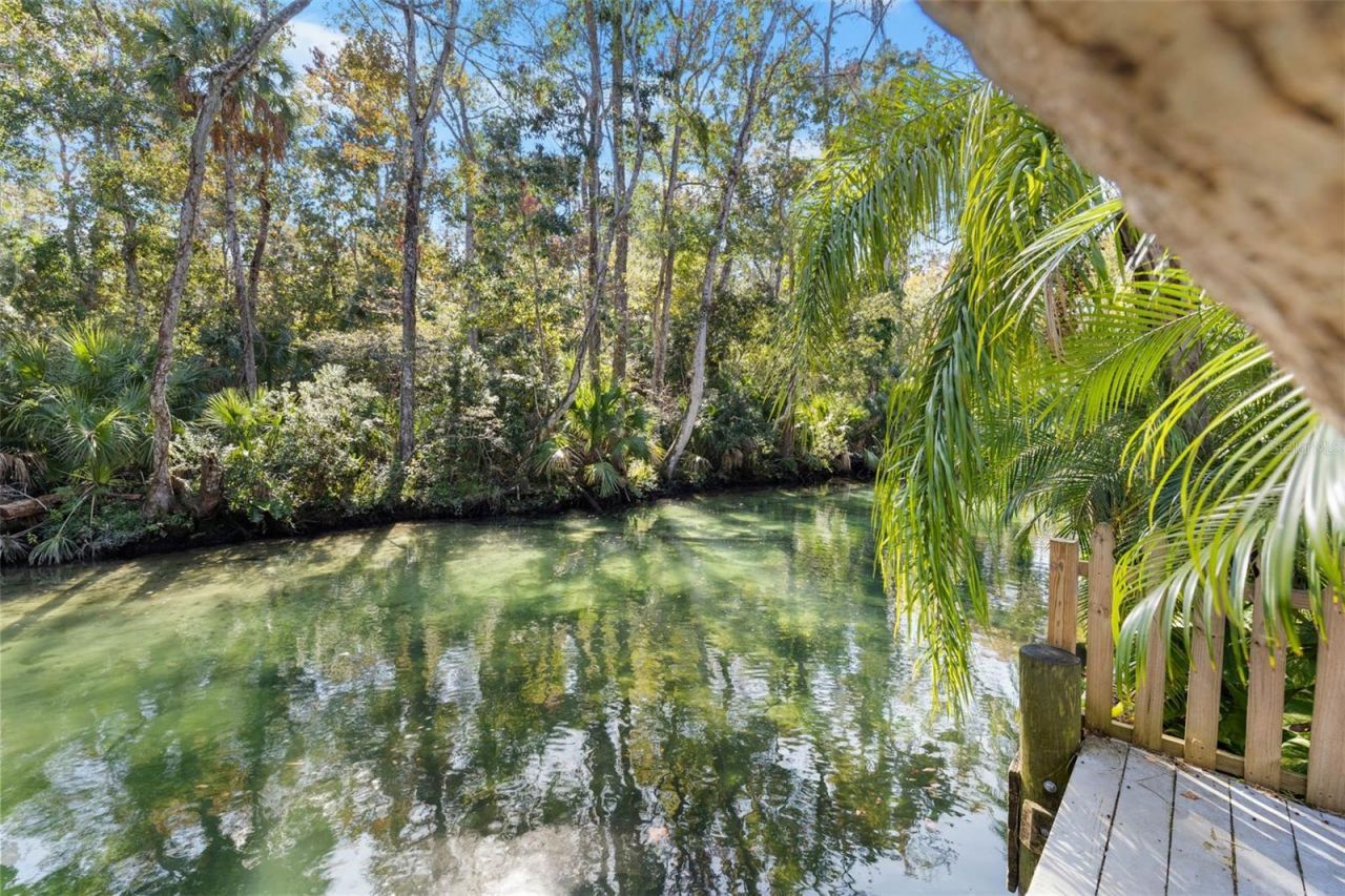 6110 Bear Trail, Weeki Wachee, FL 34607 Photo