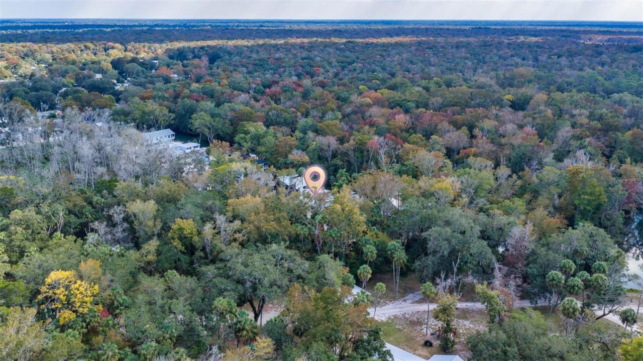 6110 Bear Trail, Weeki Wachee, FL 34607 Photo