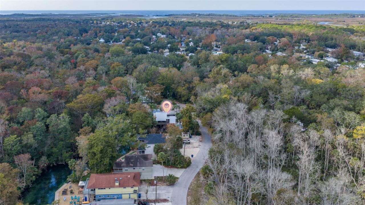 6110 Bear Trail, Weeki Wachee, FL 34607 Photo