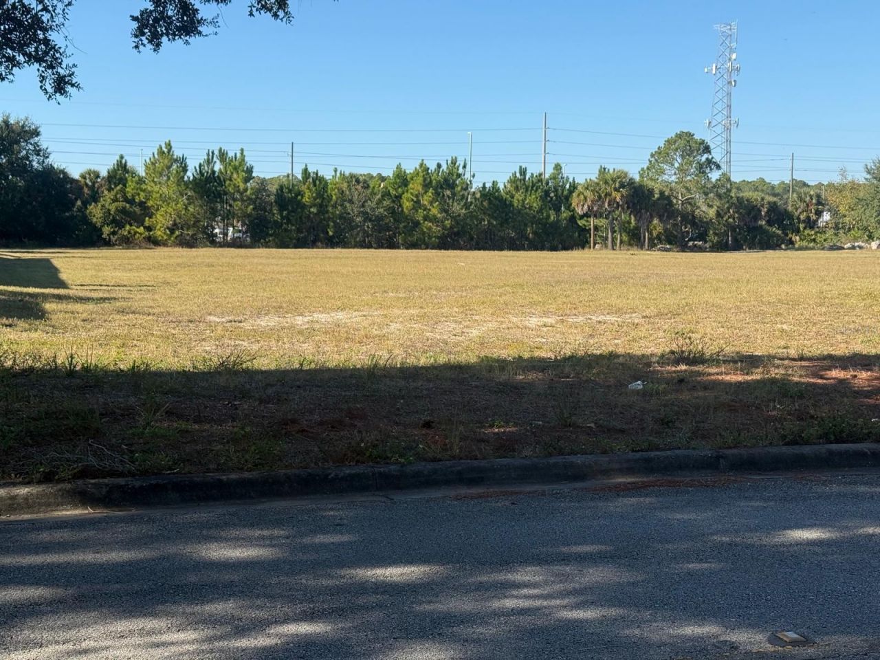 0 Forest Road, Spring Hill, FL 34606 Photo