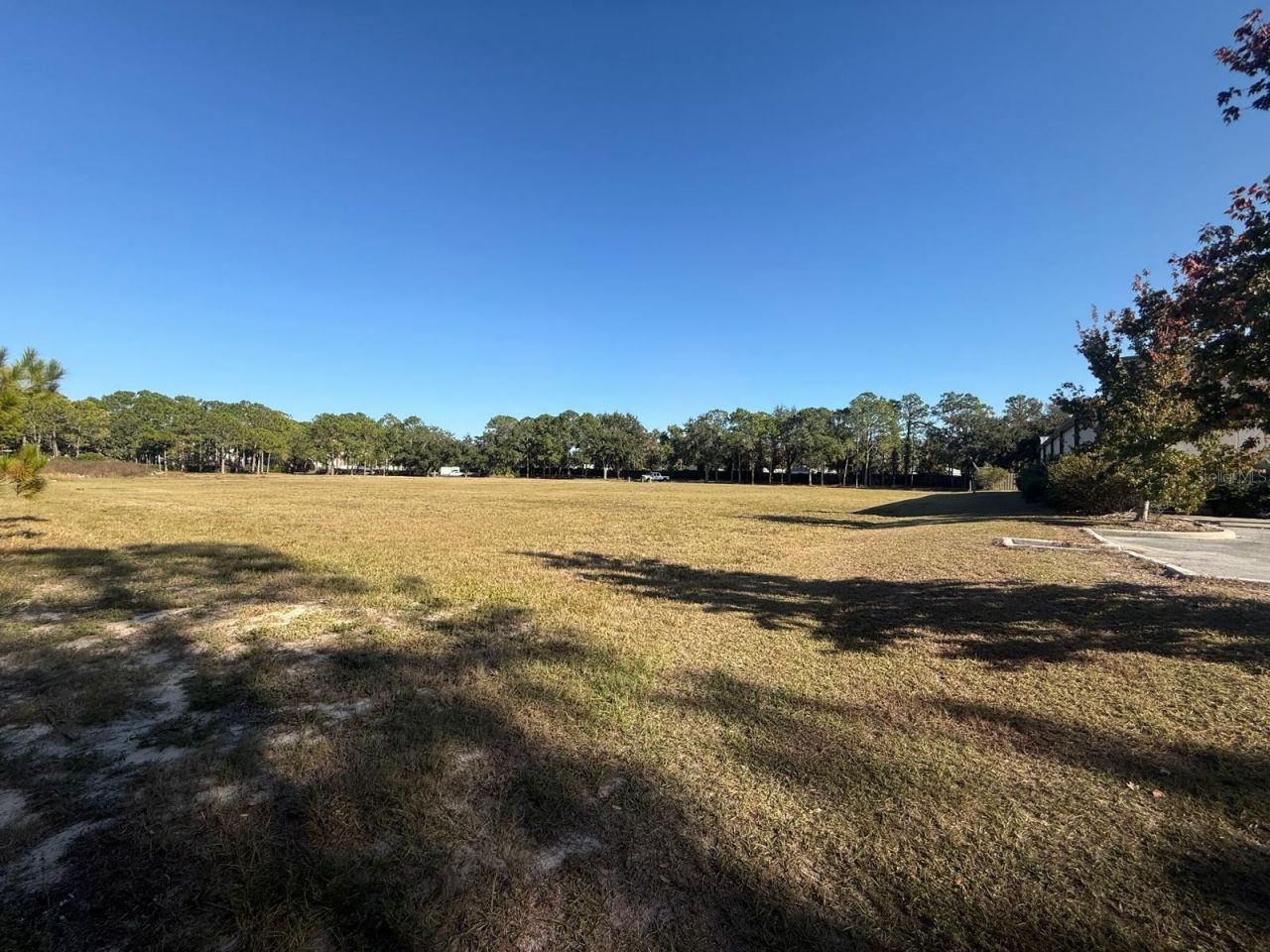 0 Forest Road, Spring Hill, FL 34606 Photo