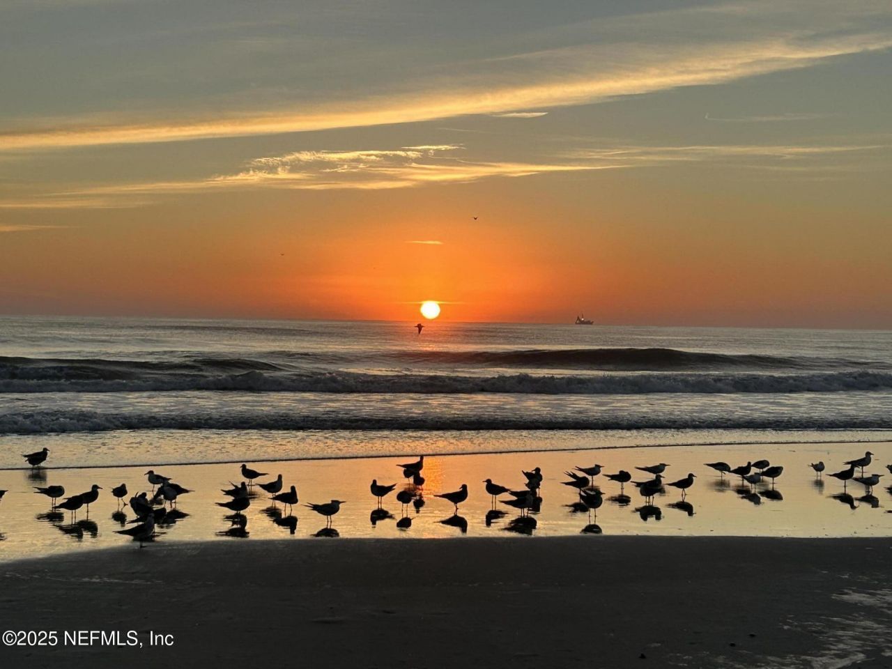 880 A1a Beach Boulevard, Unit 5212, Saint Augustine Beach, FL 32080 Photo