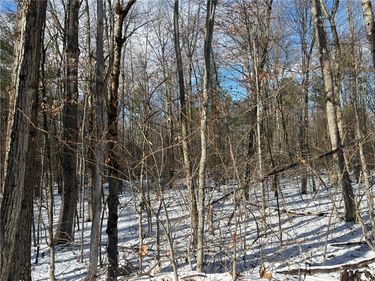 Stanley Roseboom Road, Schenevus, NY 12155