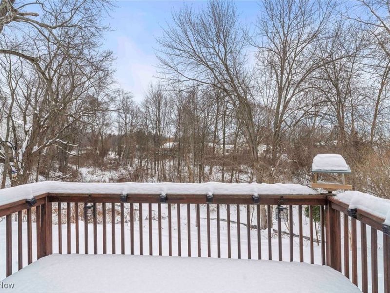 1121 Brittany Boulevard, Akron, OH 44312 Photo 26