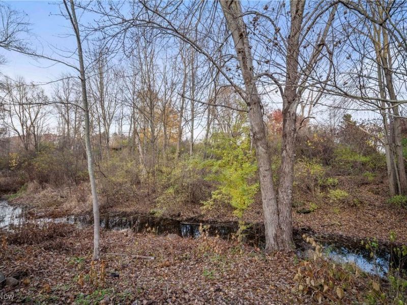 1121 Brittany Boulevard, Akron, OH 44312 Photo 29