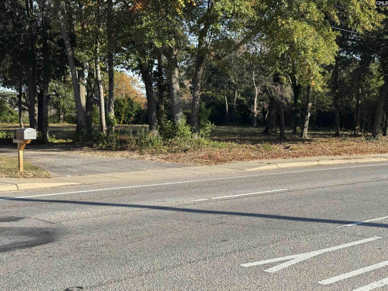 2024 Platt Springs Road  Photo 5