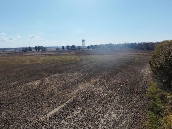 1262 Main Street, Knobel, AR 73435