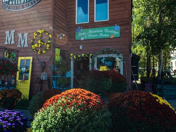 717 Sixth Street, Crested Butte, CO 81224