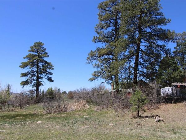 685 Caddy Circle, Pagosa Springs, CO 81147