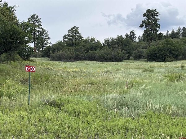 1084 Crowley Drive, Chromo, CO 81147