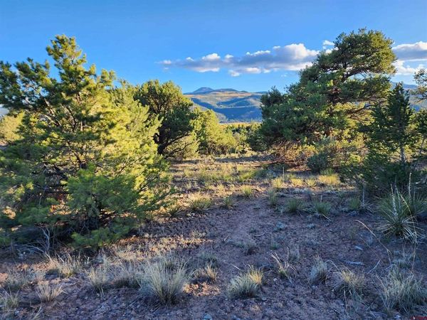580 KIT CARSON RD, South Fork, CO 81154