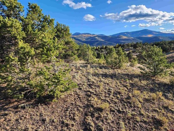 559 ORONDOA RD, South Fork, CO 81154