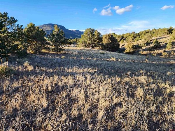 512 KIT CARSON RD, South Fork, CO 81154