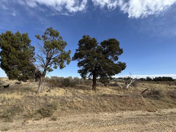 12040 Road N, Cahone, CO 81320
