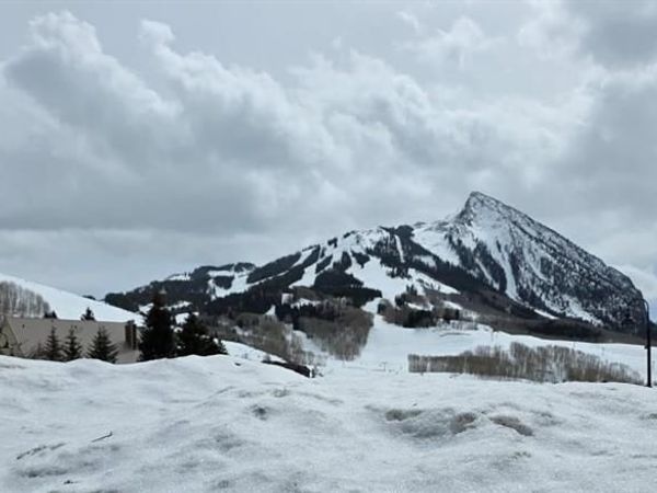 708 Gothic Road, Mt. Crested Butte, CO 81225