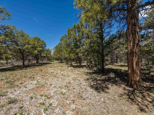 Lot 6 Waterview Court, Ridgway, CO 81432