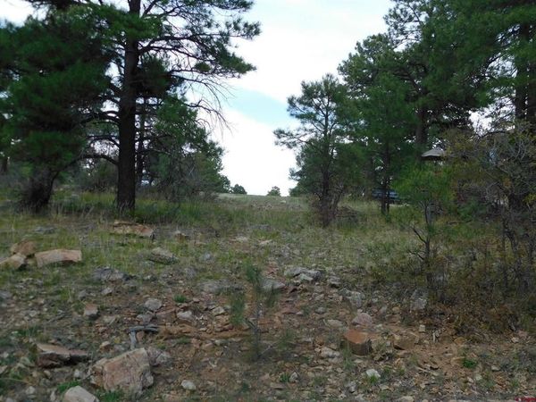 49 Masters Circle, Pagosa Springs, CO 81147
