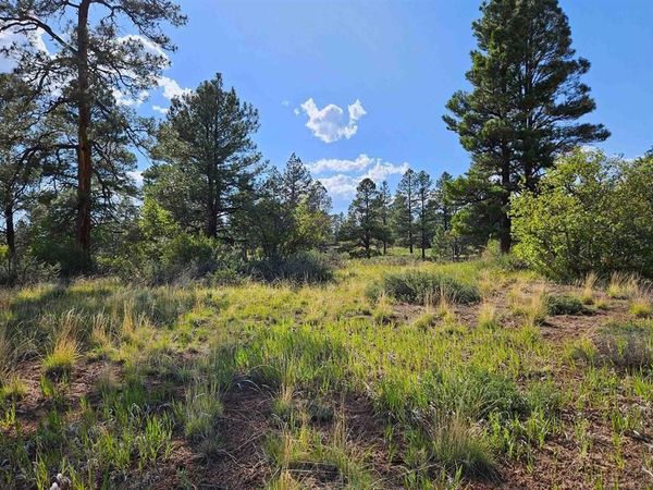 1305 Trails Boulevard, Pagosa Springs, CO 81147