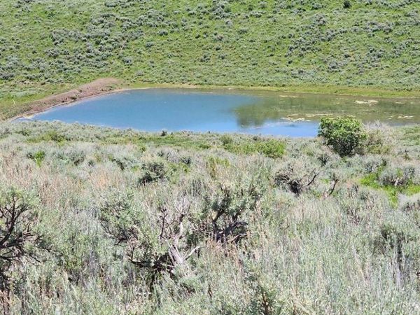 TBD Divide (Mont's Draw) Road, Gateway, CO 81522
