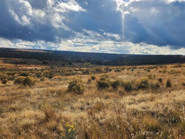 28102 Road 17.5, Pleasant View, CO 81331