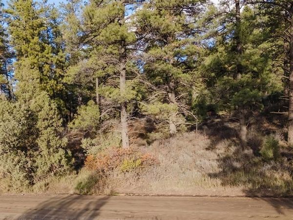 244 Ute Drive, Pagosa Springs, CO 81147