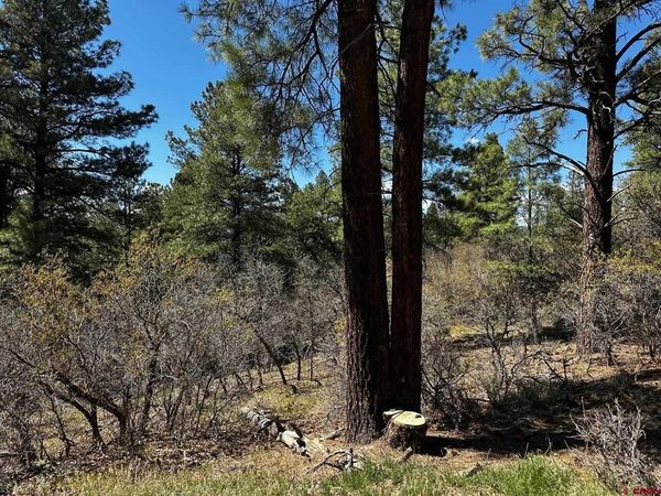 523 Oakridge Drive, Pagosa Springs, CO 81147