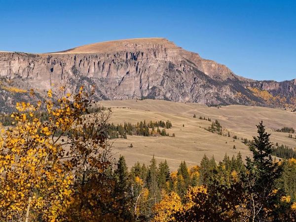 32229 Bristol Head Drive, Creede, CO 81130