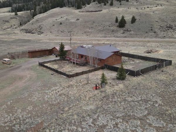 206 La Font Drive, Creede, CO 81130