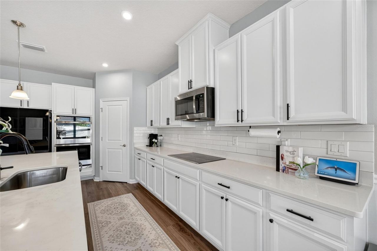 10196 Agave Court, Land O Lakes, FL 34638 Photo