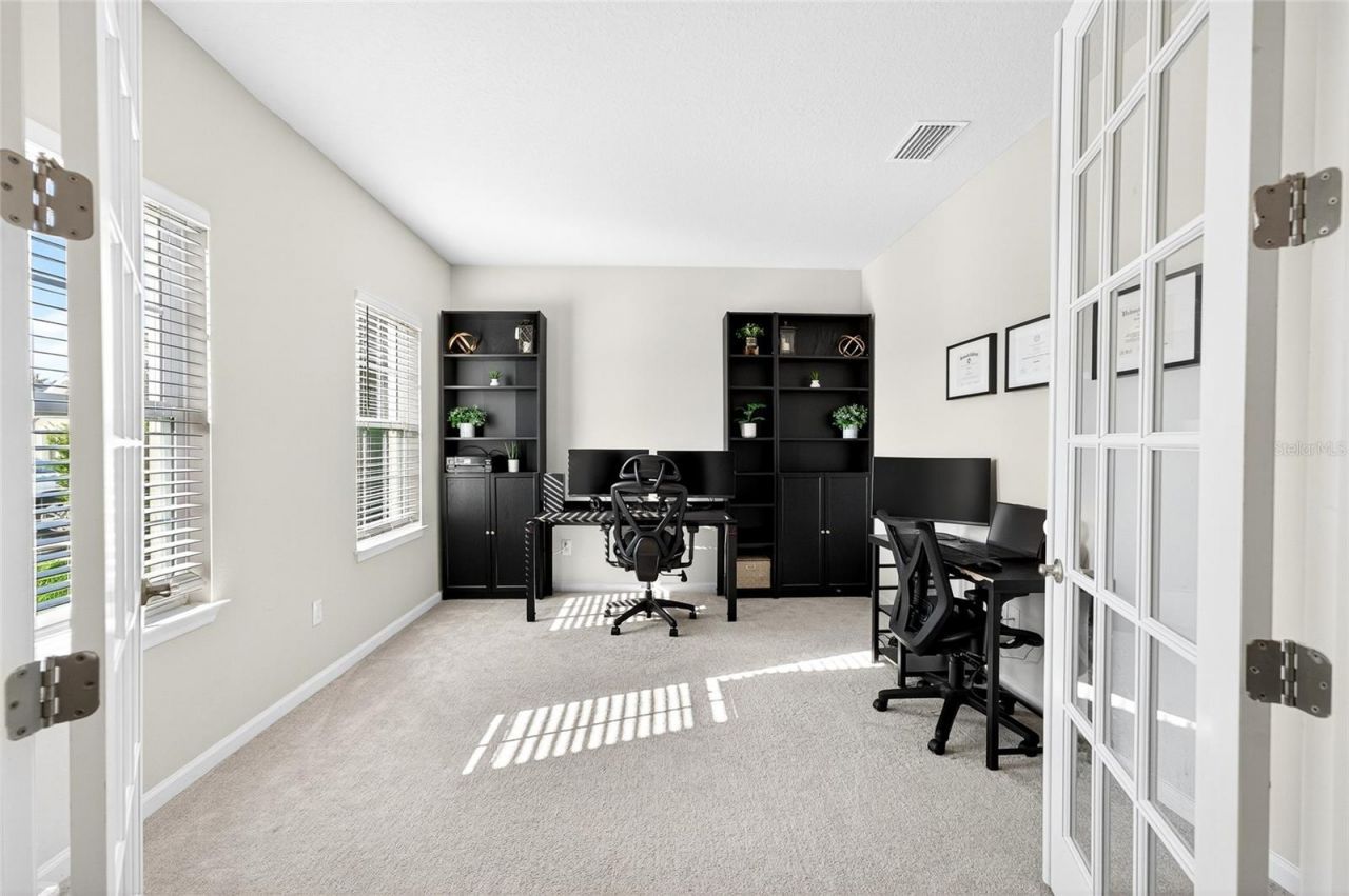 10196 Agave Court, Land O Lakes, FL 34638 Photo
