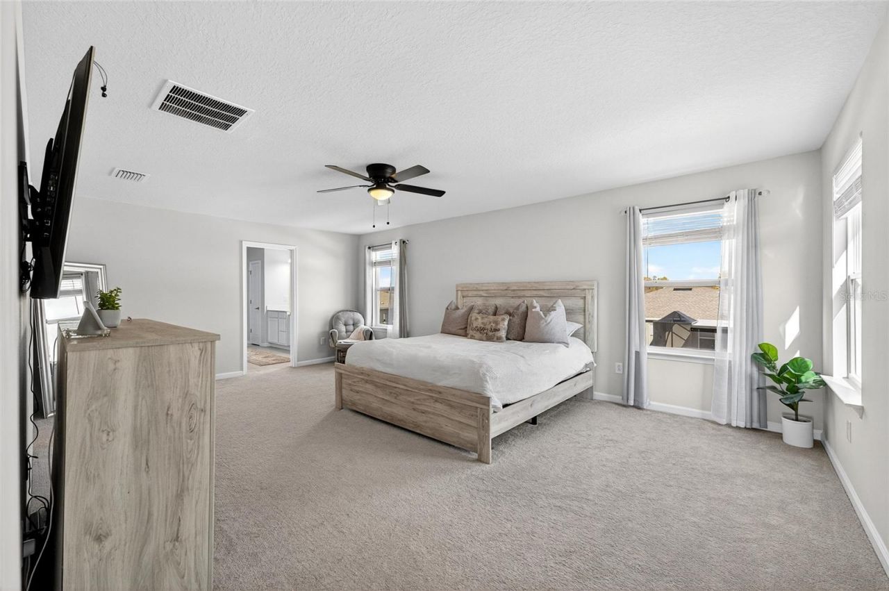 10196 Agave Court, Land O Lakes, FL 34638 Photo