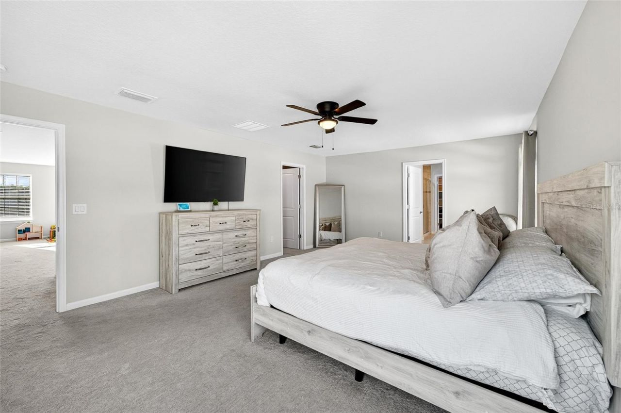 10196 Agave Court, Land O Lakes, FL 34638 Photo