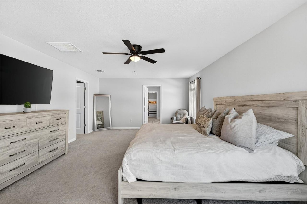 10196 Agave Court, Land O Lakes, FL 34638 Photo