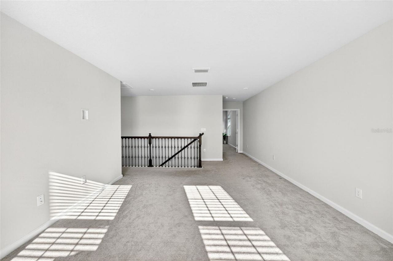 10196 Agave Court, Land O Lakes, FL 34638 Photo