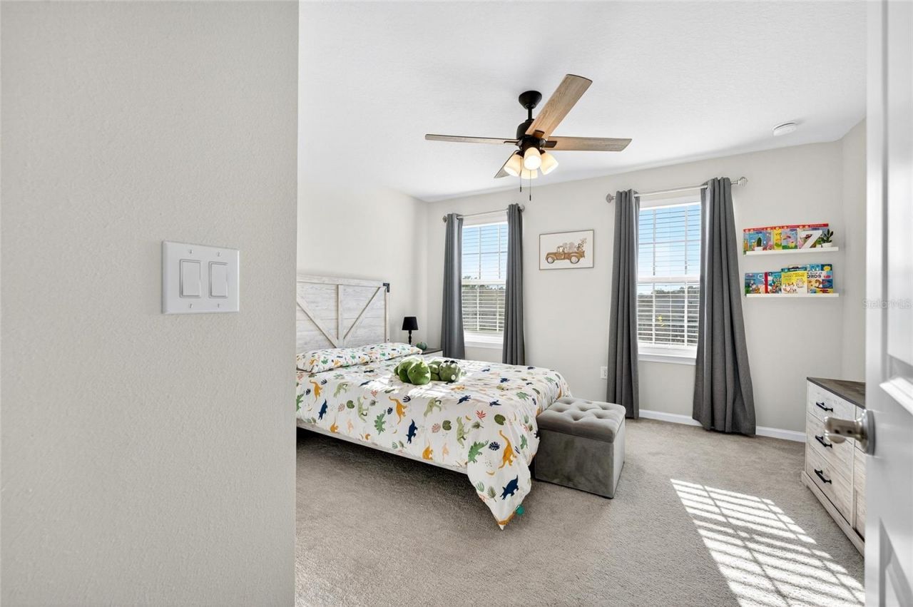 10196 Agave Court, Land O Lakes, FL 34638 Photo