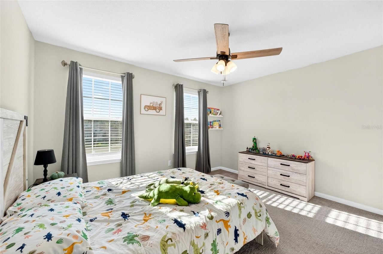 10196 Agave Court, Land O Lakes, FL 34638 Photo