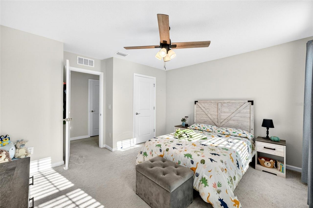 10196 Agave Court, Land O Lakes, FL 34638 Photo