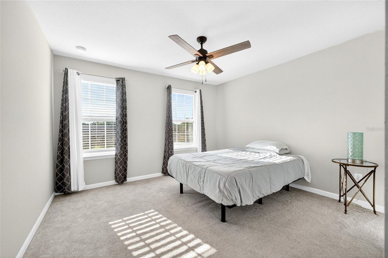 10196 Agave Court, Land O Lakes, FL 34638 Photo