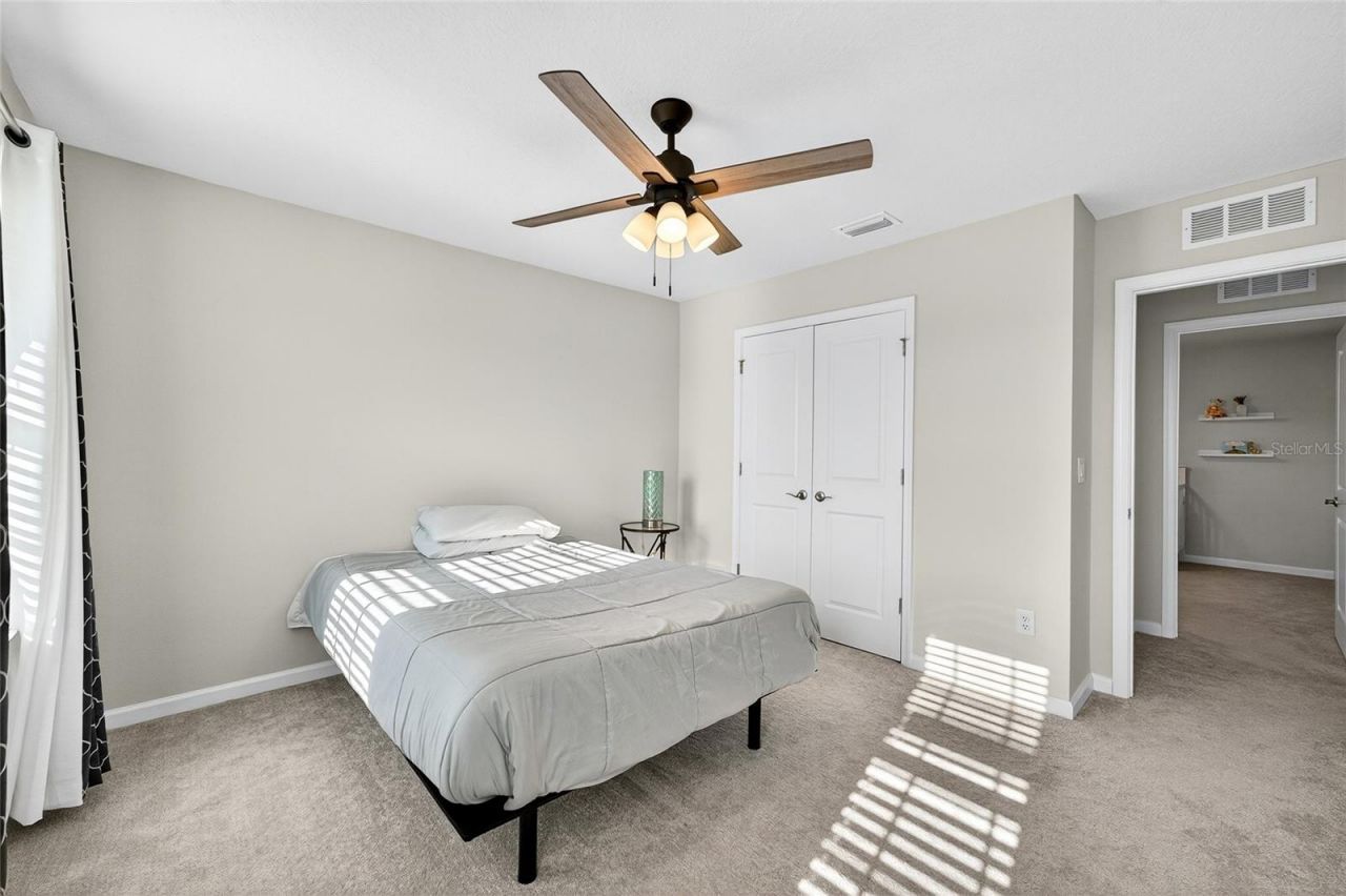 10196 Agave Court, Land O Lakes, FL 34638 Photo
