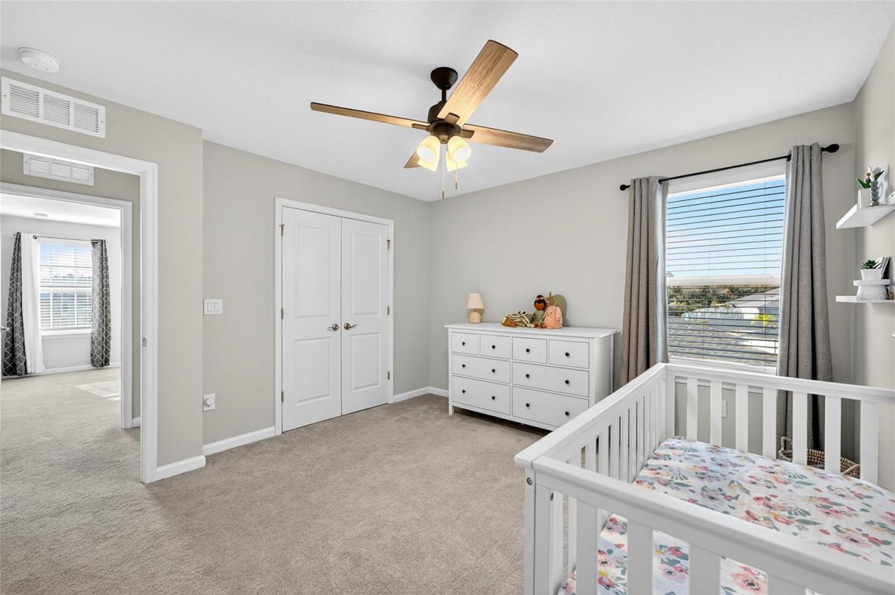 10196 Agave Court, Land O Lakes, FL 34638 Photo