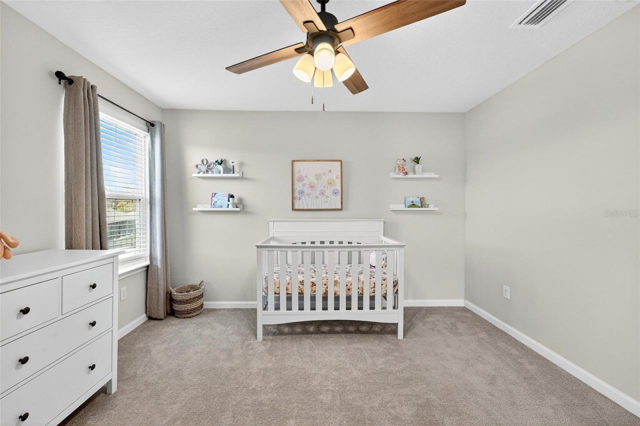 10196 Agave Court, Land O Lakes, FL 34638 Photo