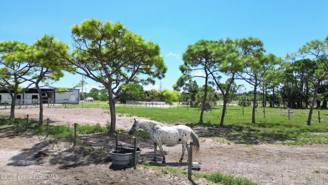 4850 Old Dixie Highway, Grant-valkaria, FL 32949 Photo