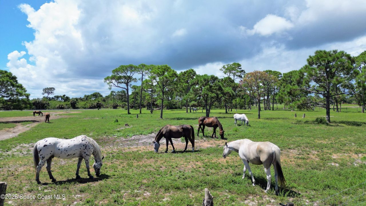 4850 Old Dixie Highway, Grant-valkaria, FL 32949 Photo