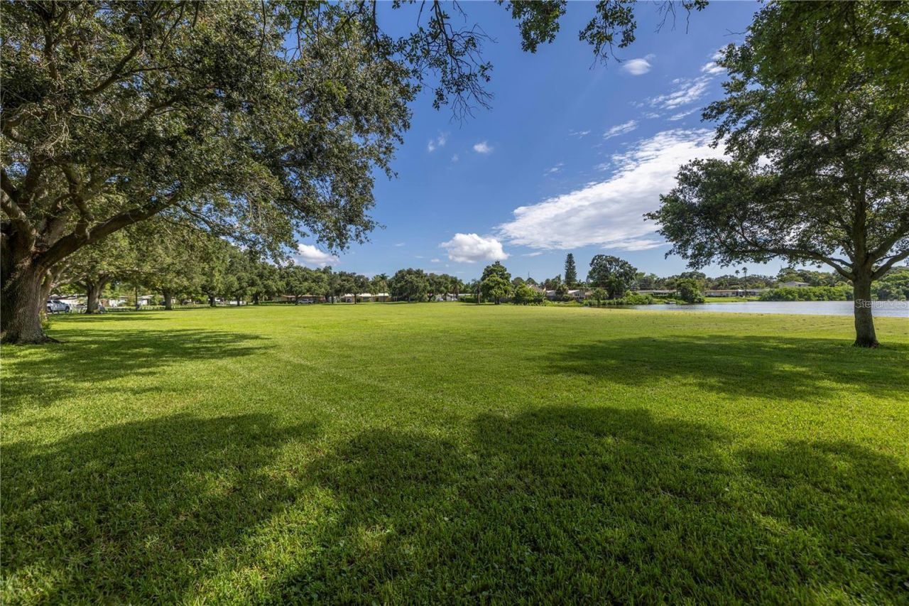 1200 76th Avenue N, Saint Petersburg, FL 33702 Photo