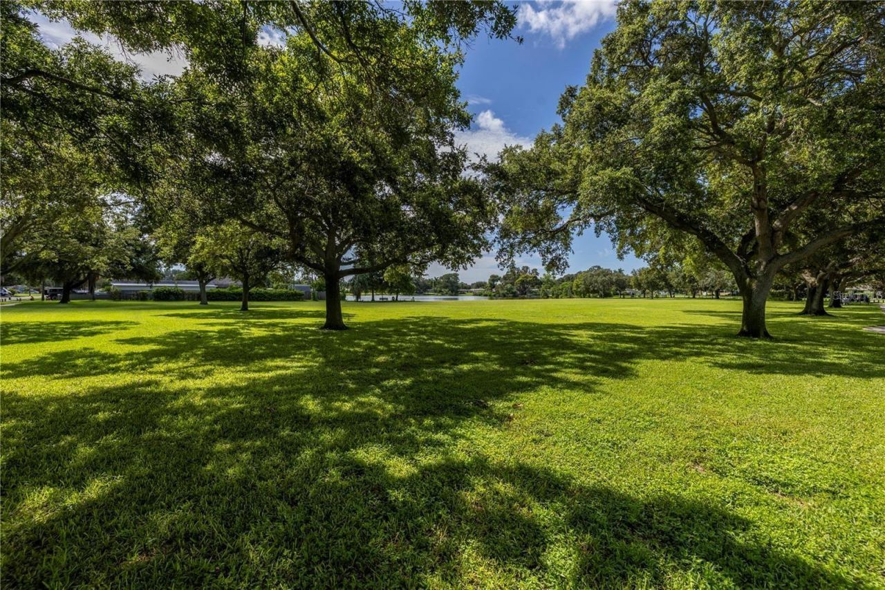 1200 76th Avenue N, Saint Petersburg, FL 33702 Photo